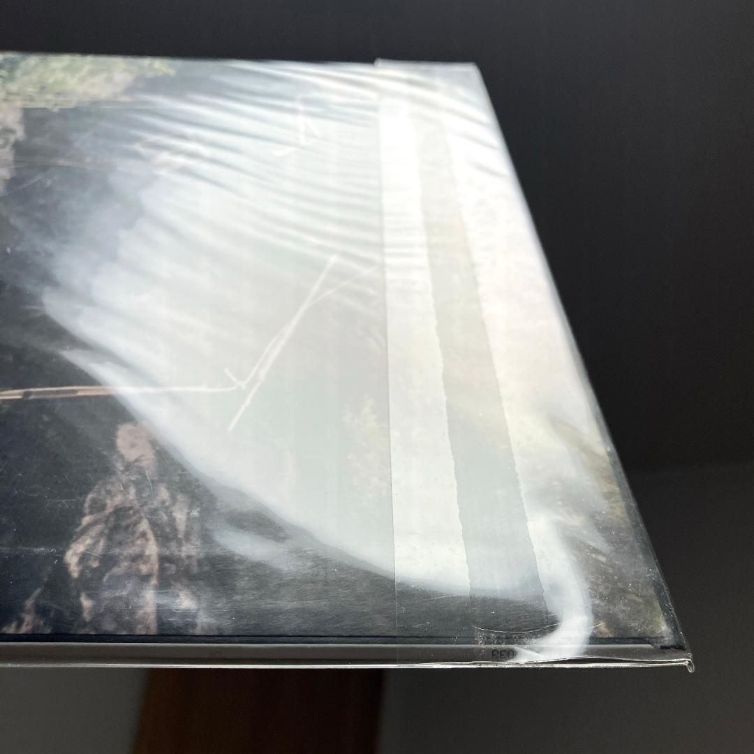 【新品未開封】Fishmans『Long Season』LP/アナログ盤