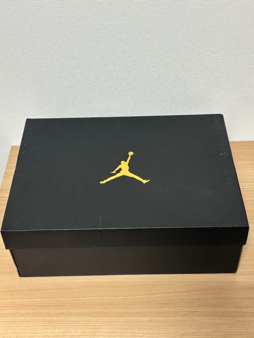 シューズ(男性用) Air Jordan 1 High G 11 (29cm)