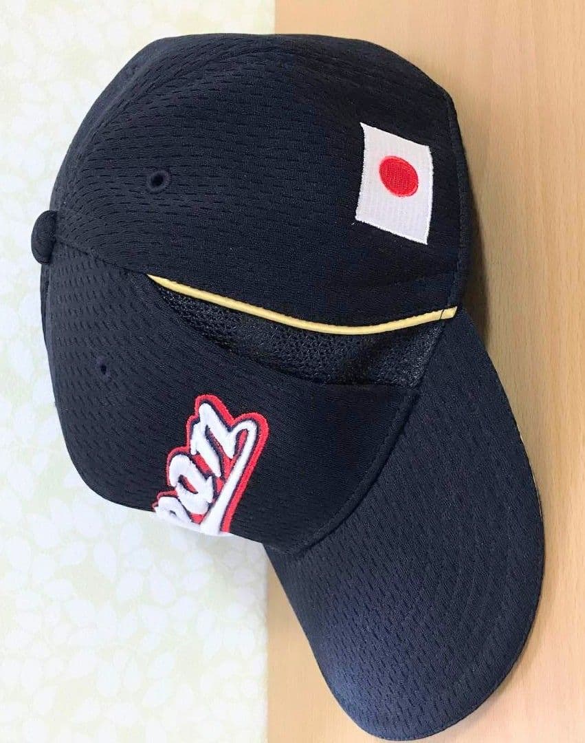 MIZUNOPRO ジャパン 日本代表 ミズノプロ JAPAN プロコレクション