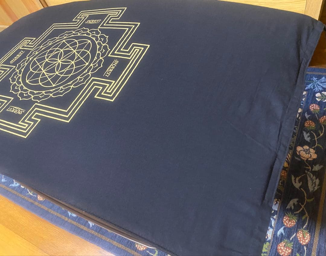 【美品ですが安価で】シャクティマットオリジナル正規品 黒 ブラック