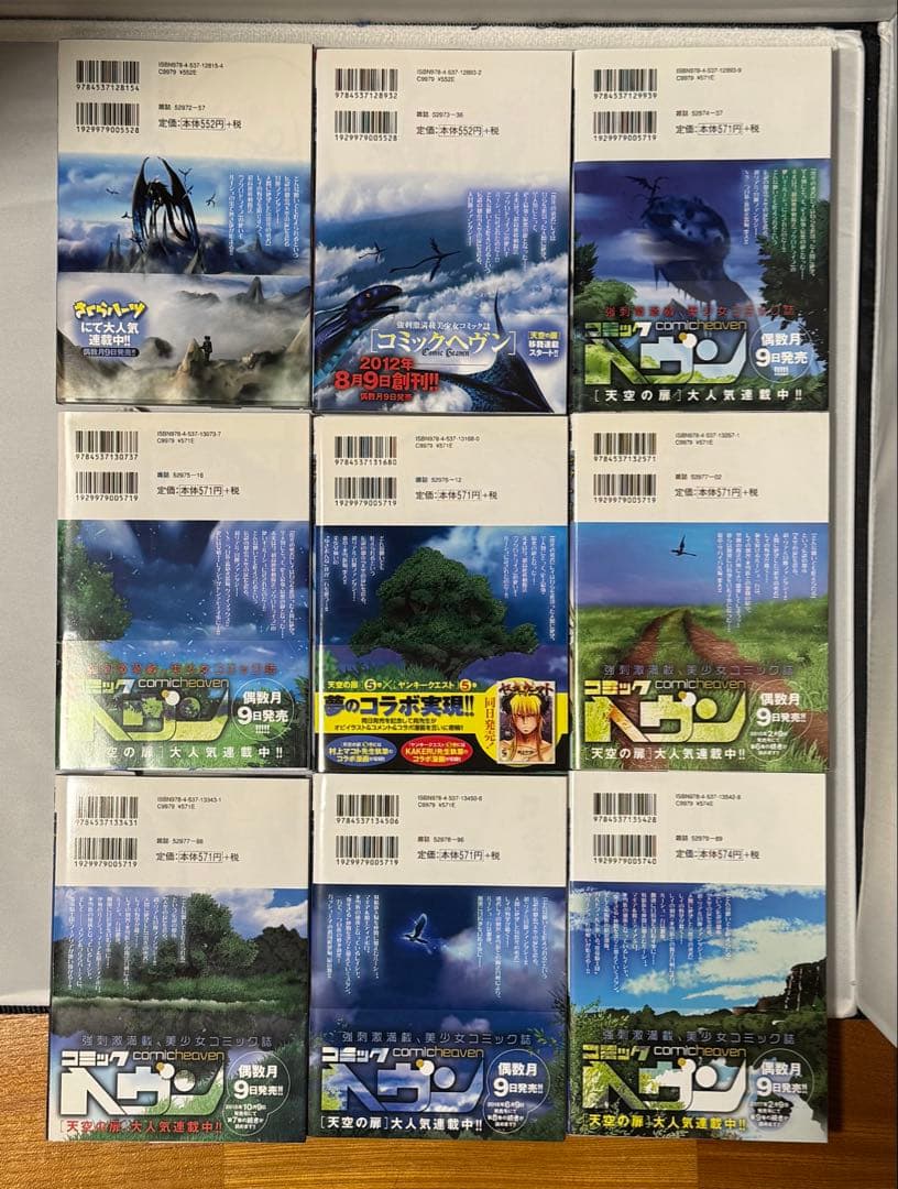 【初版•帯付】天空の扉 既刊 1-22巻セット 匿名配送