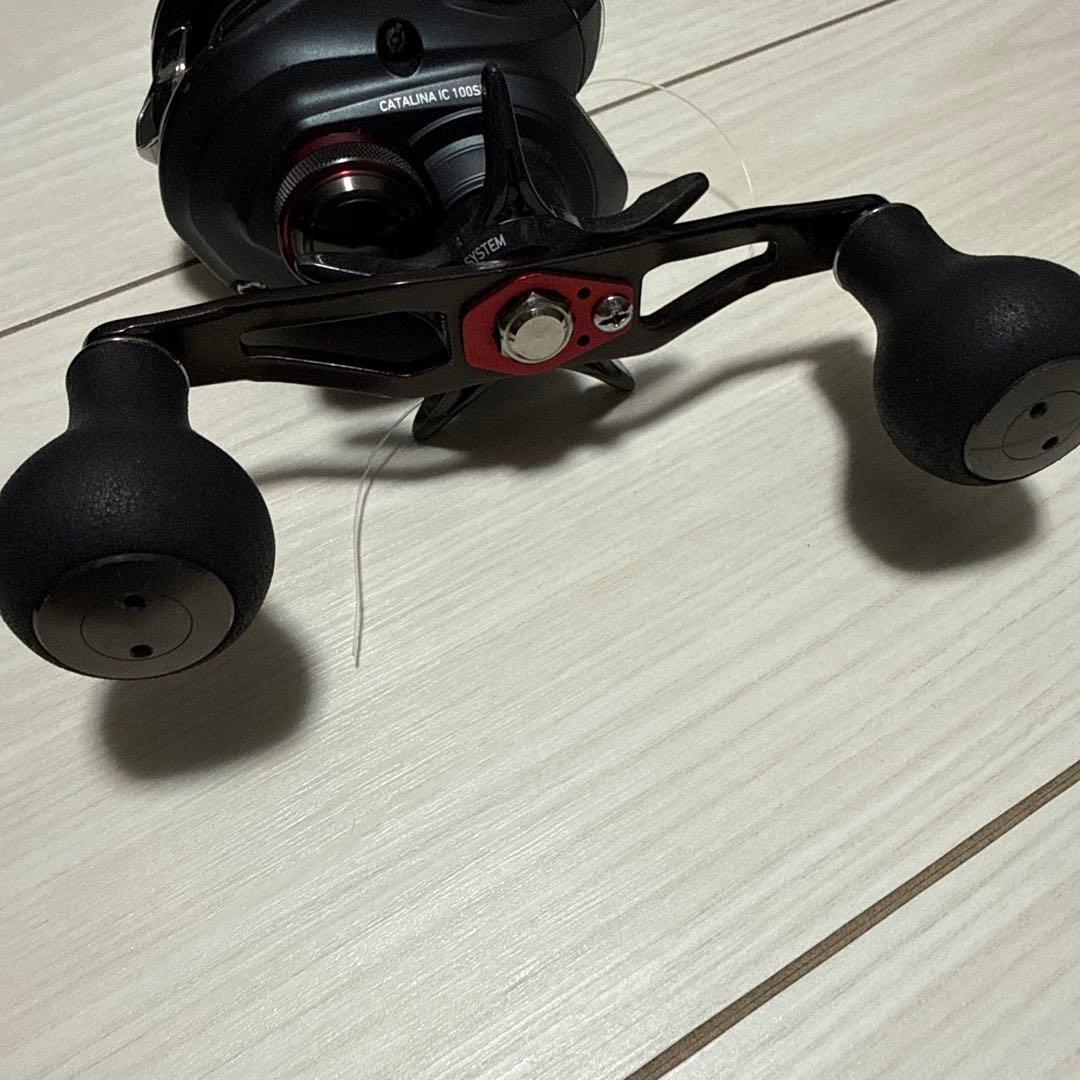 キャタリナIC 100SH