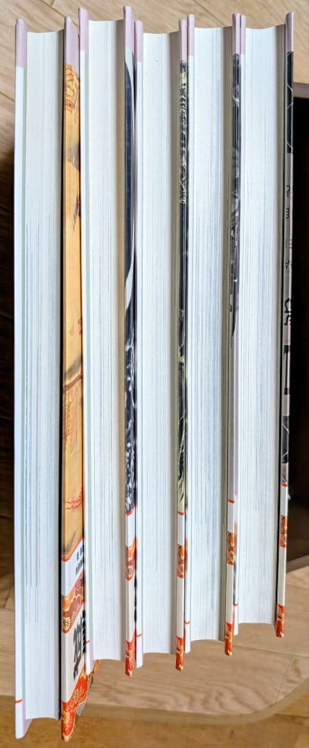 琉球・沖縄 写真絵画集成 全5巻セット