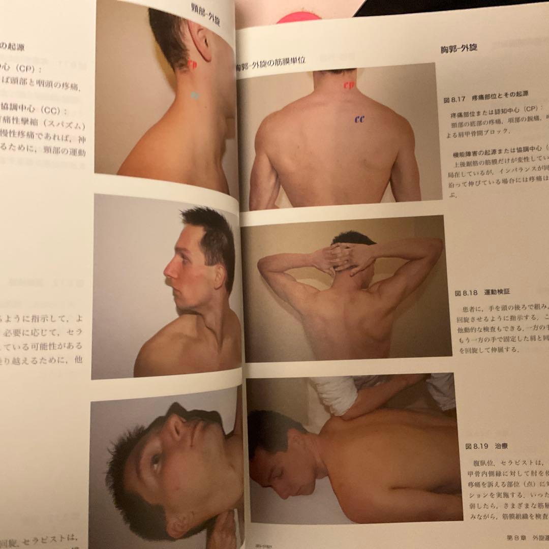 筋膜マニピュレーション : 筋骨格系疼痛治療 実践編