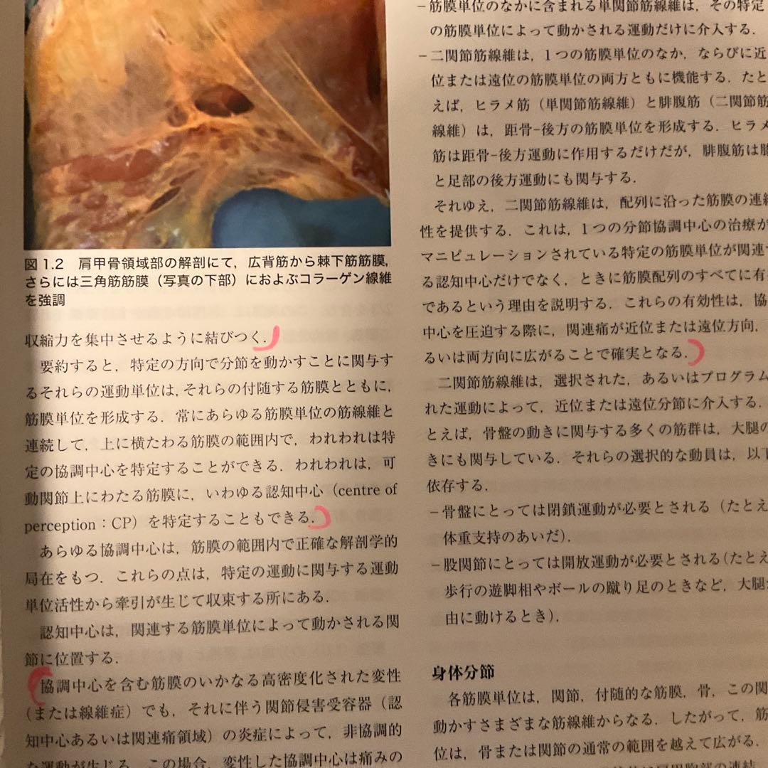 筋膜マニピュレーション : 筋骨格系疼痛治療 実践編