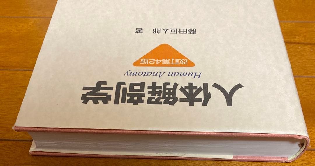 人体解剖学