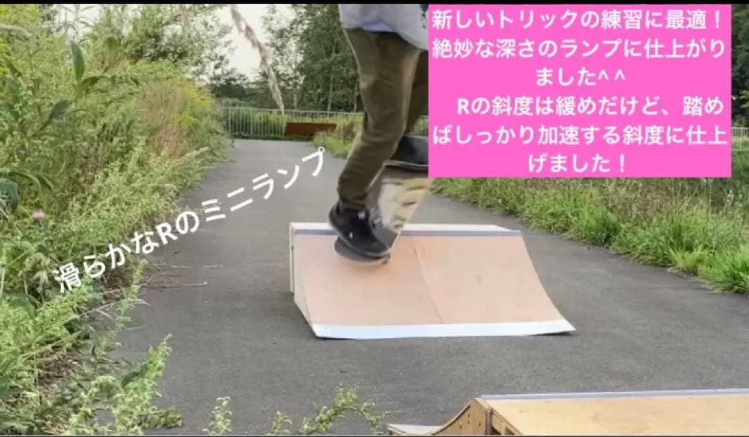 スケボー　#ミニランプ　組み立てキット2台分　Sサイズpro skatepia製