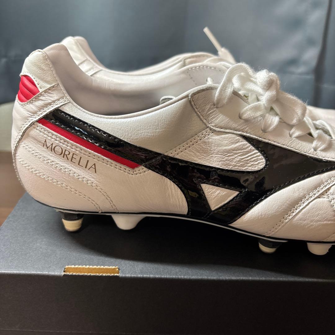 MORELIA Ⅱ MIX