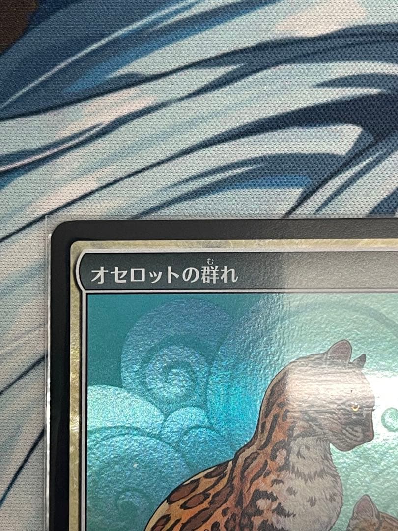 オセロットの群れ、他2枚、ストアチャンピオンプロモ　3枚セット