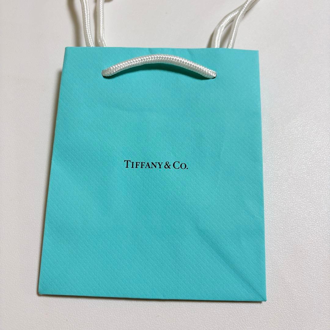 美品　ティファニー　ピアスケース　空箱　現行品　ブルーボックス