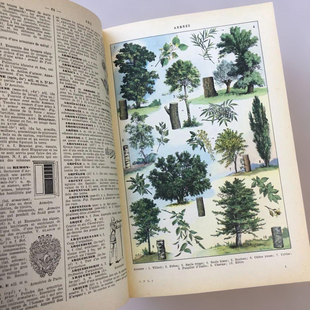 フランス 洋書 ラルース百科事典 ジャンクジャーナル素材 インテリアにも