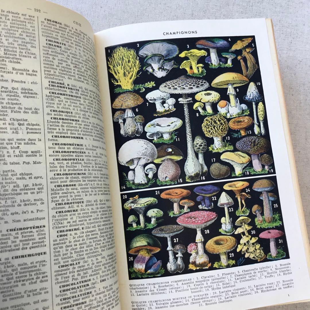 フランス 洋書 ラルース百科事典 ジャンクジャーナル素材 インテリアにも