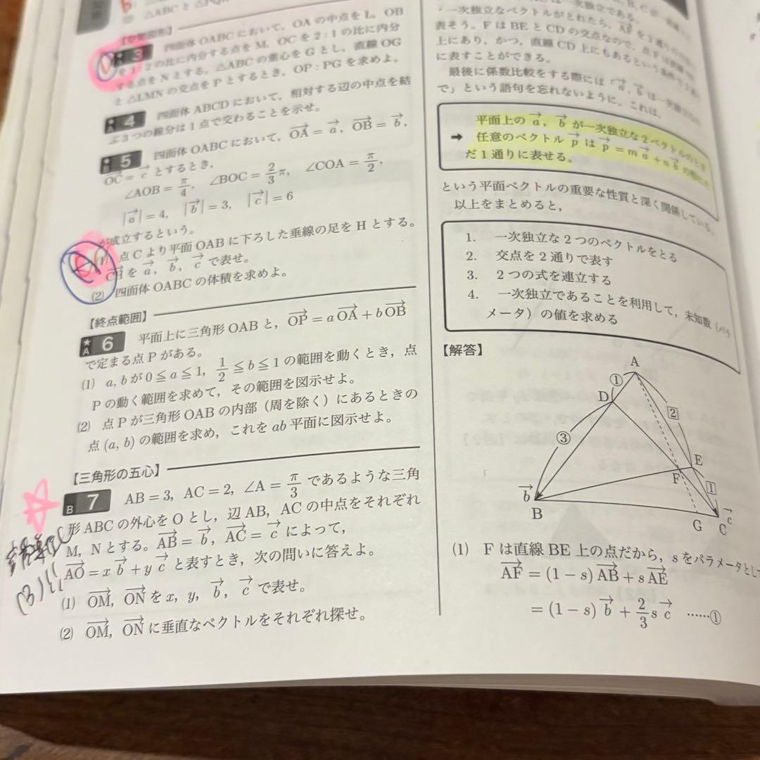 鉄緑会　高2数学実践講座確認シリーズ