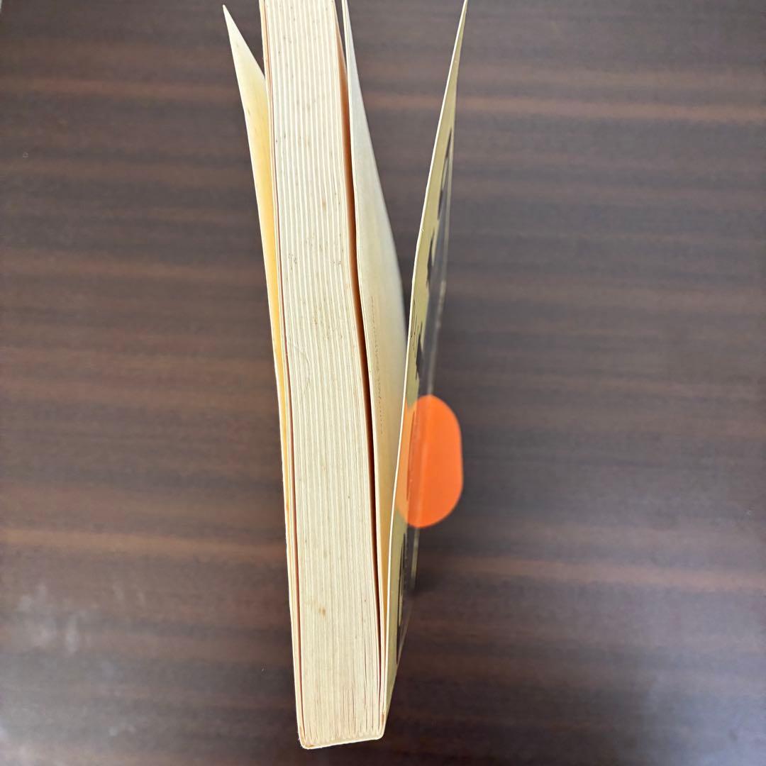 ドイツ語　洋書　「Das Getto」ゲットー　ギュンター・シュヴァルベルク著