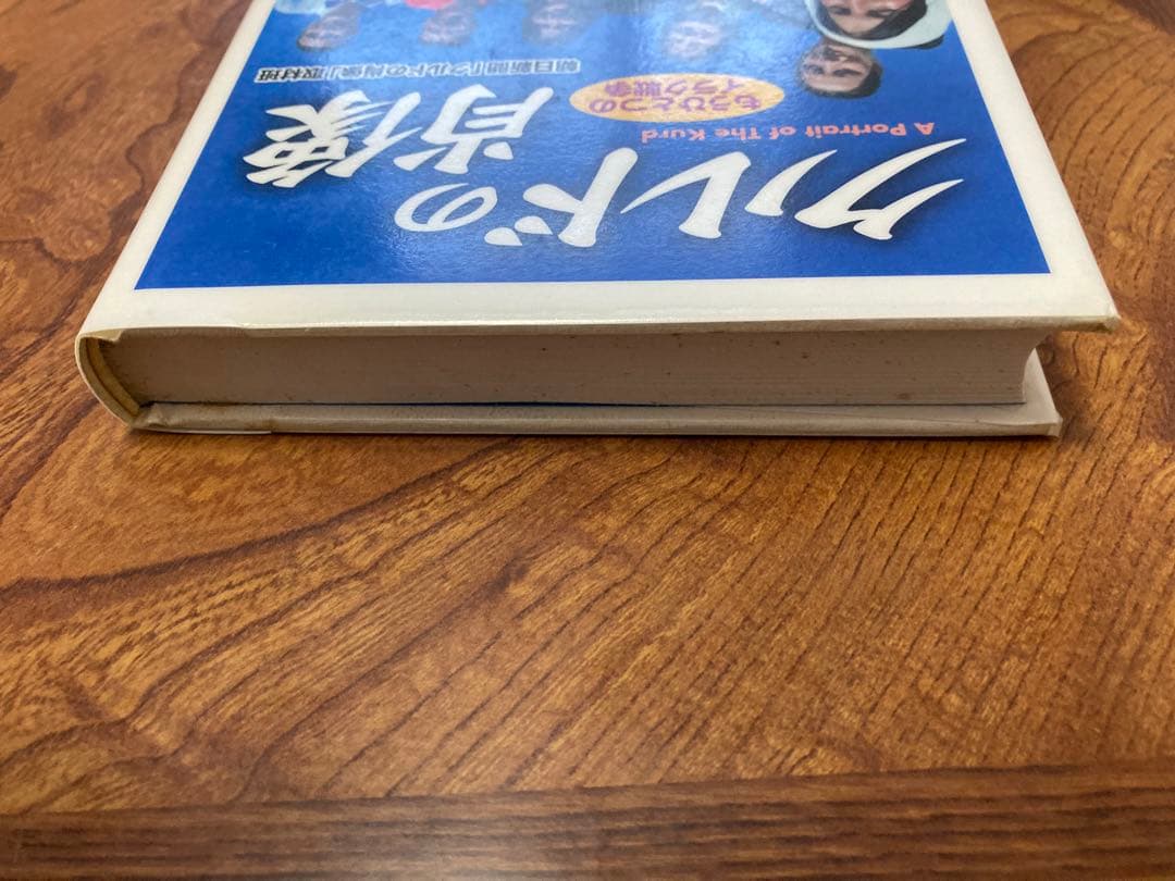 クルドの肖像 : もうひとつのイラク戦争　除籍