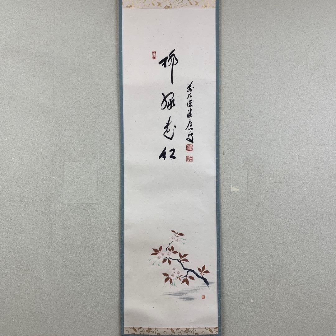 美品 掛け軸 宝林寺 福本積応作 桜ノ図「柳緑花紅」共箱 禅語 茶掛け