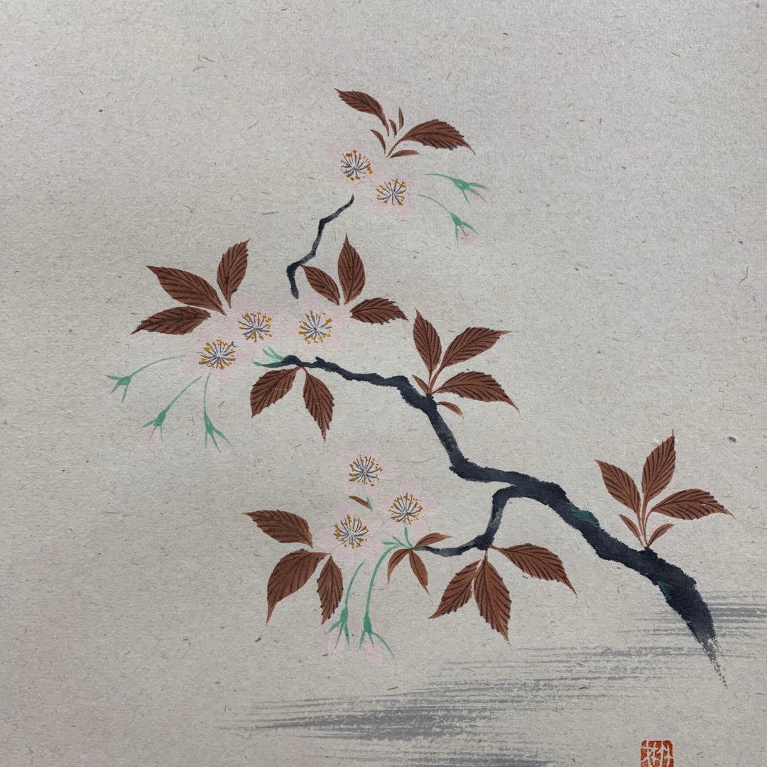 美品 掛け軸 宝林寺 福本積応作 桜ノ図「柳緑花紅」共箱 禅語 茶掛け