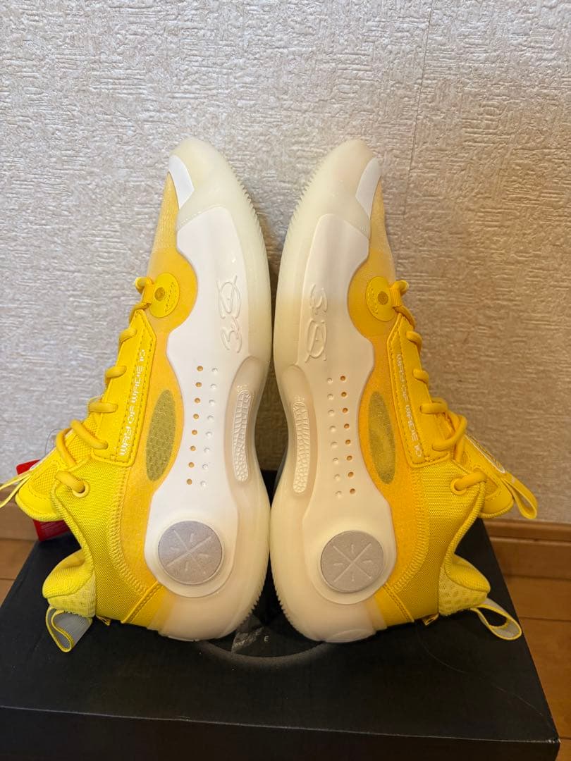Way of Wade 10 Low 「ロサンゼルス」　26cm