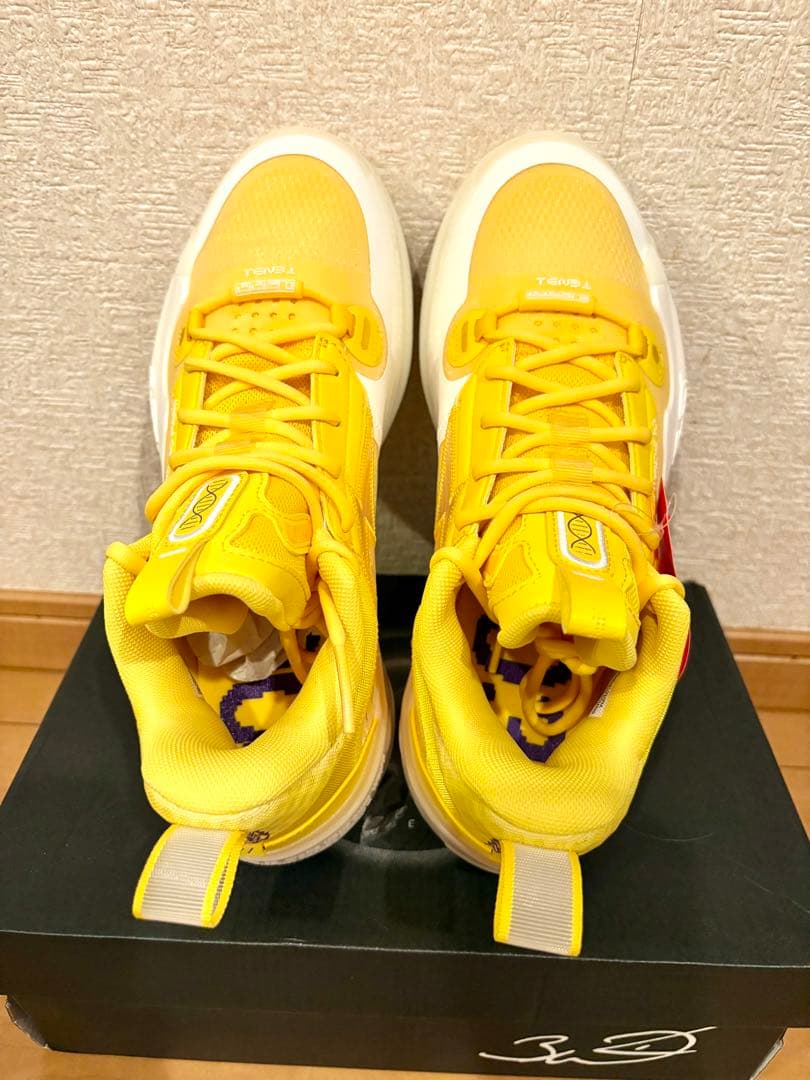 Way of Wade 10 Low 「ロサンゼルス」　26cm