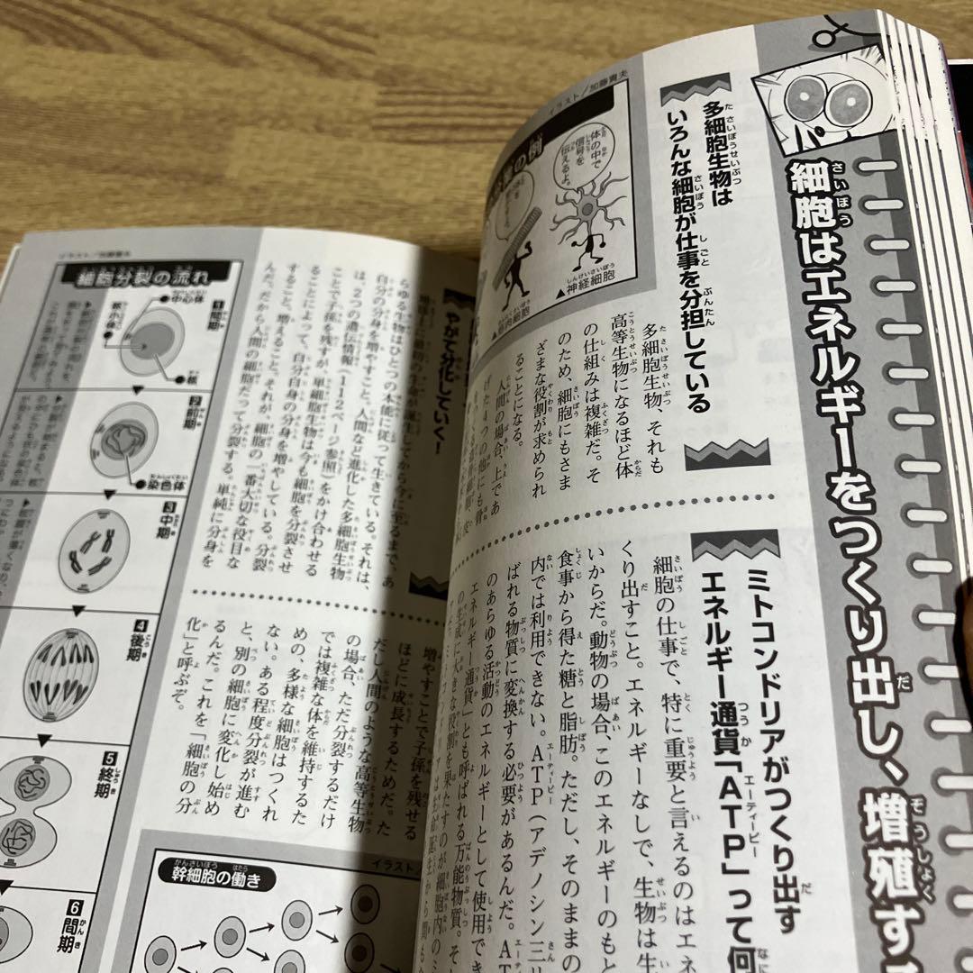 ドラえもん科学ワールド　20巻セット
