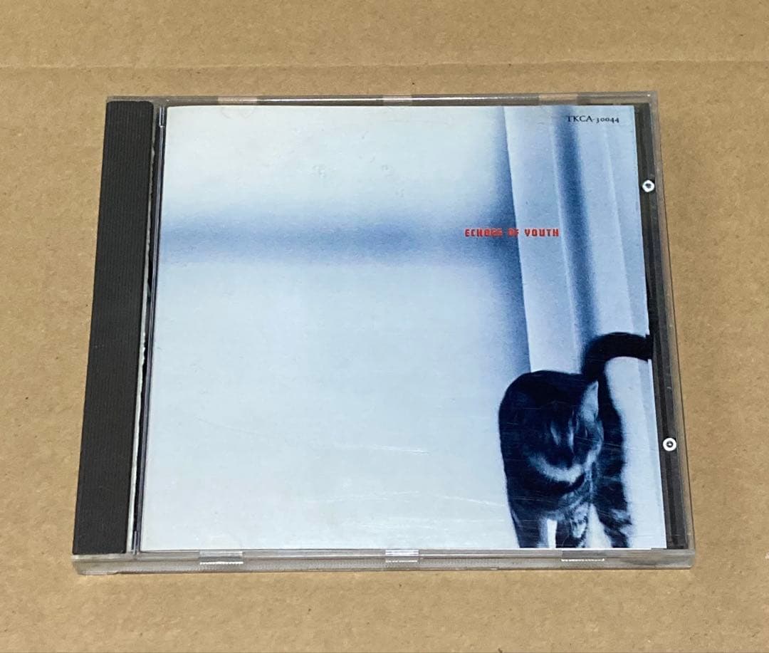 V.A. / ECHOES OF YOUTH 廃盤CD 帯無し