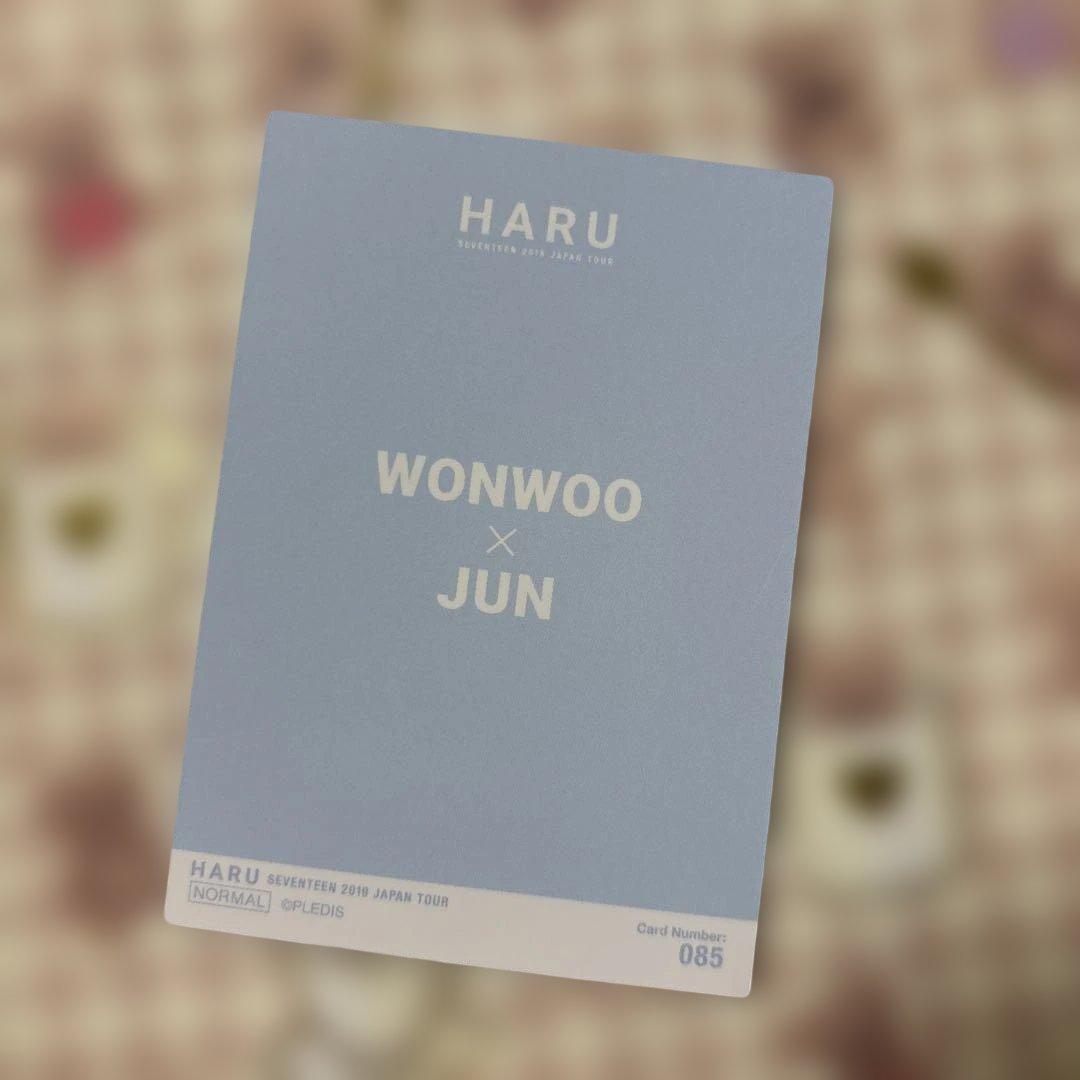 SEVENTEEN☆haru ウォヌジュン ペアトレカ