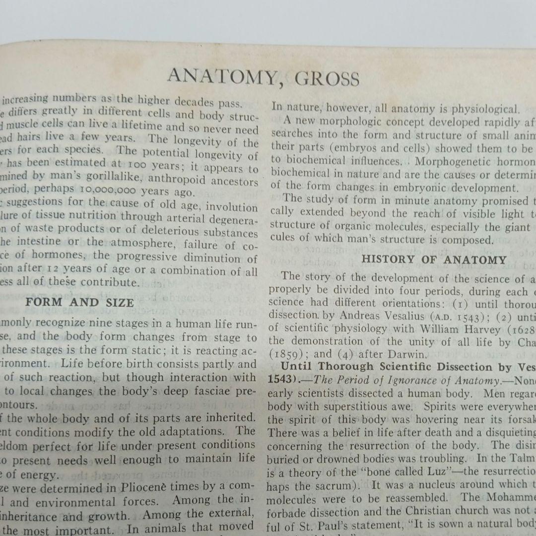 Encyclopedia Britannica 10巻セット