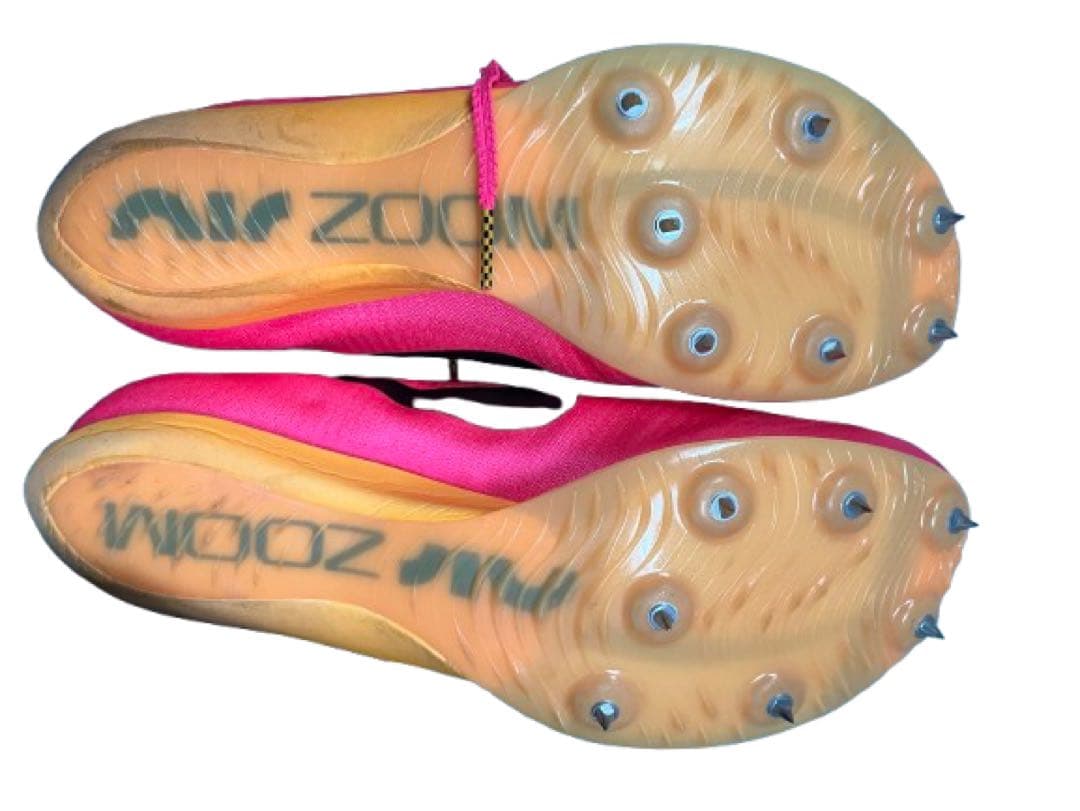 NIKEマックスフライ1