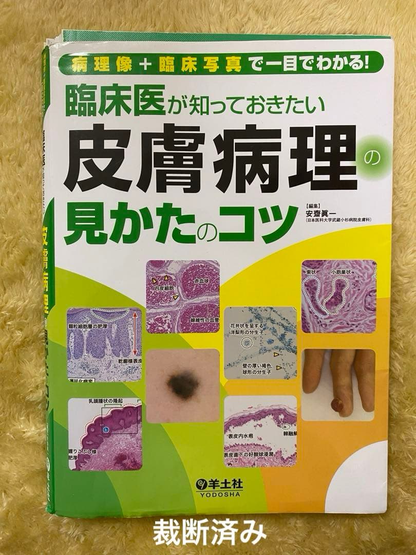 臨床医が知っておきたい皮膚病理の見かたのコツ 病理像+臨床写真で一目でわかる!