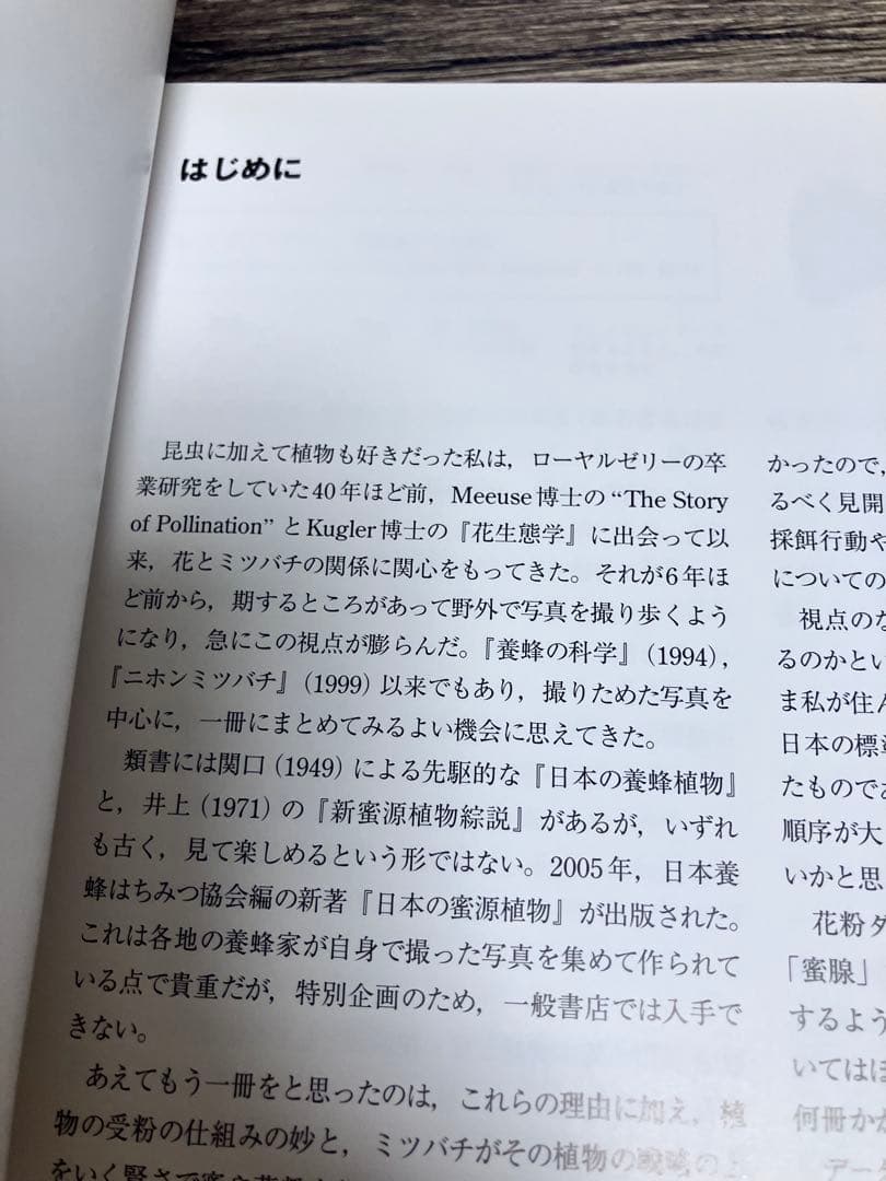 蜂からみた花の世界 佐々木正己　大型本