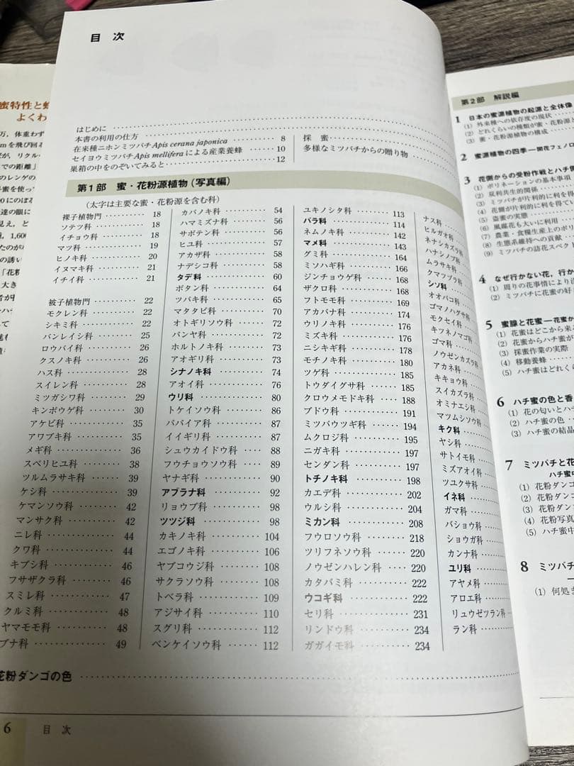 蜂からみた花の世界 佐々木正己　大型本