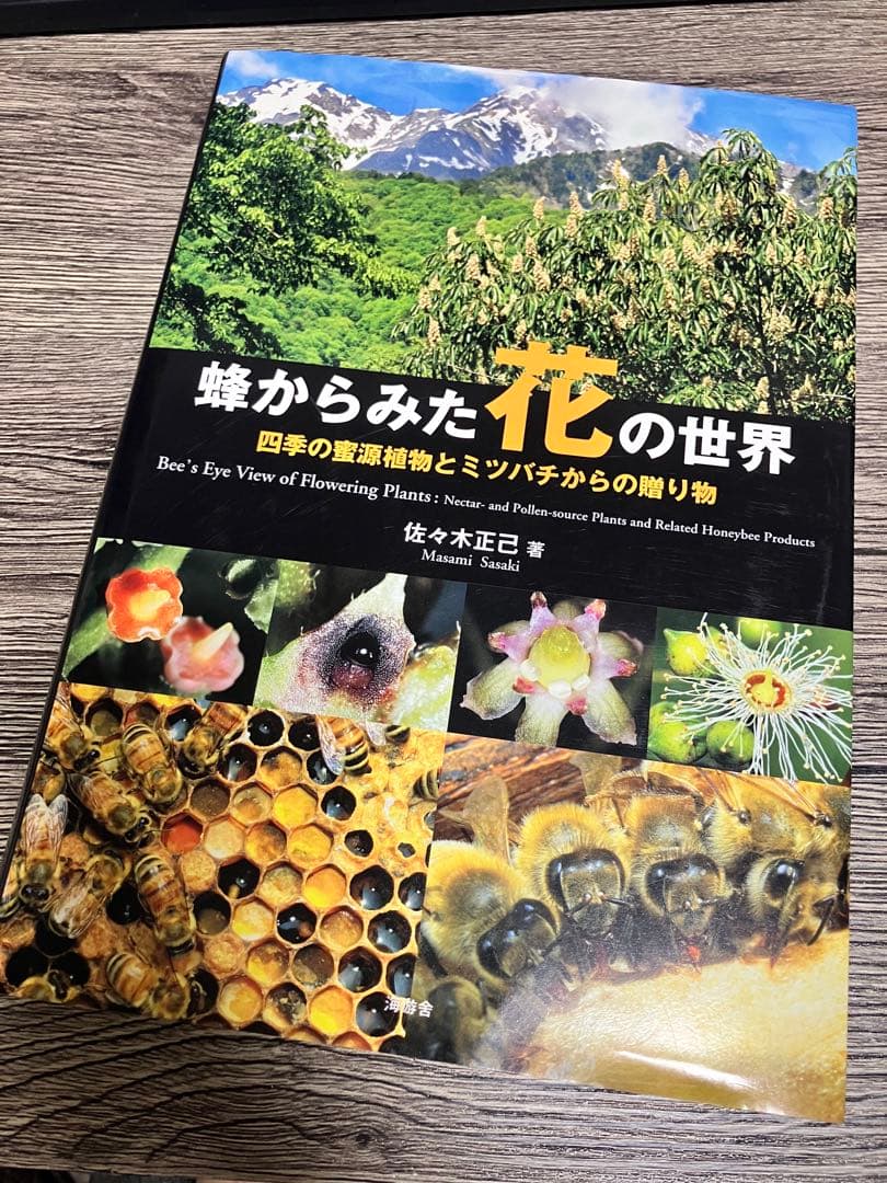 蜂からみた花の世界 佐々木正己　大型本