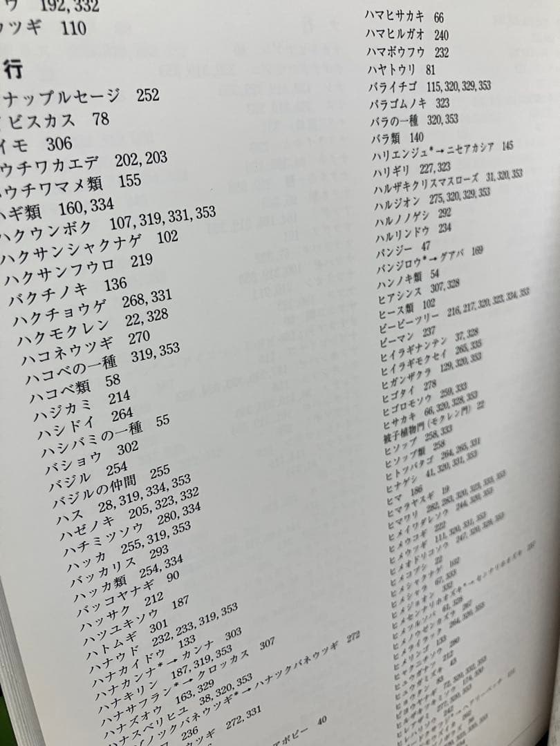蜂からみた花の世界 佐々木正己　大型本