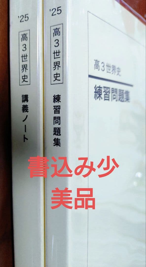 鉄緑会2025 入試世界史確認シリーズ 美品