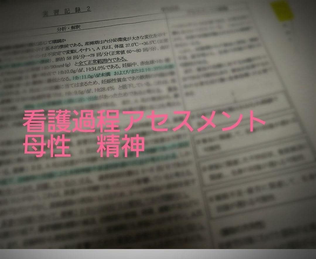看護実習　看護過程　アセスメント　看護目標　看護技術　手順書　看護学生　国家試験