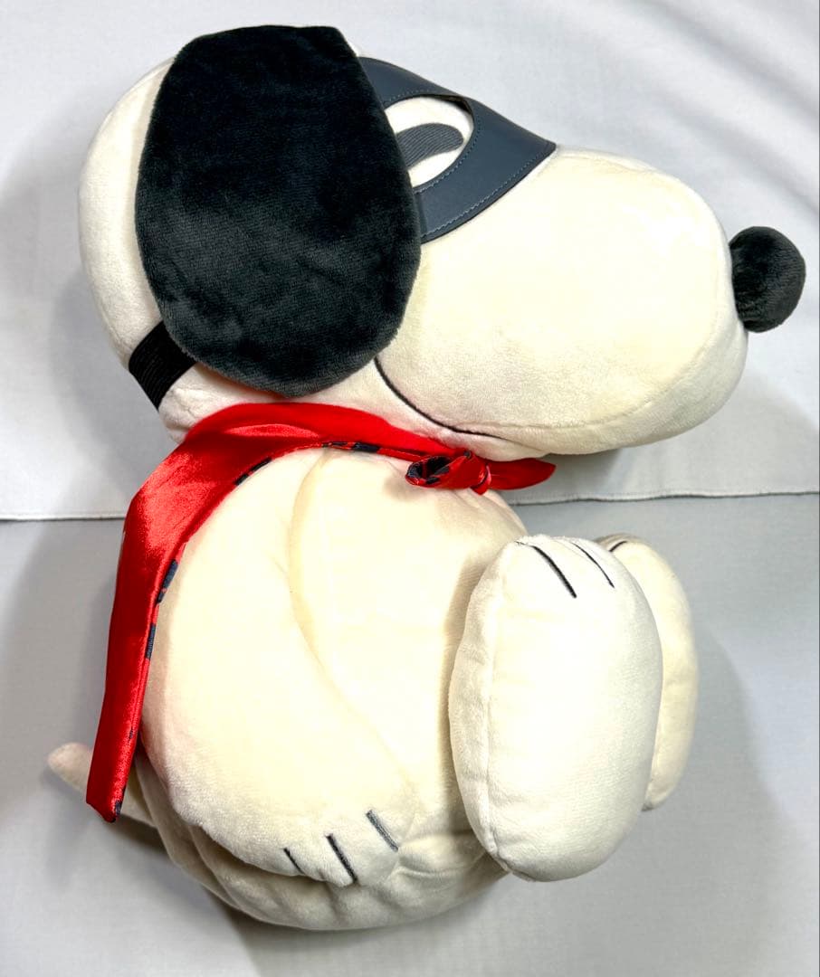 ミズノ 【PEANUTS】スヌーピー メディシンボール レッド 2kg