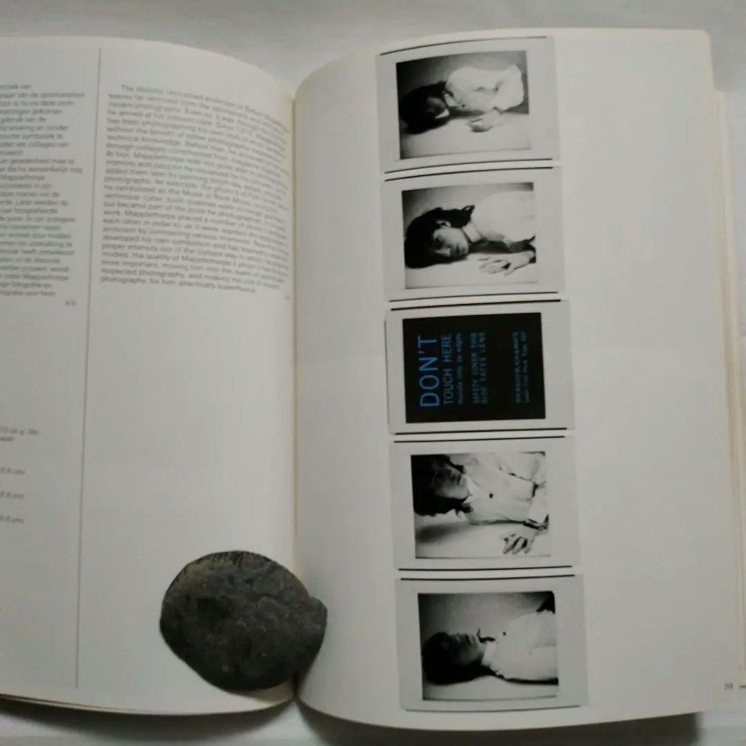 [洋書図録] Instant Fotografie ホックニー , ウォーホル他