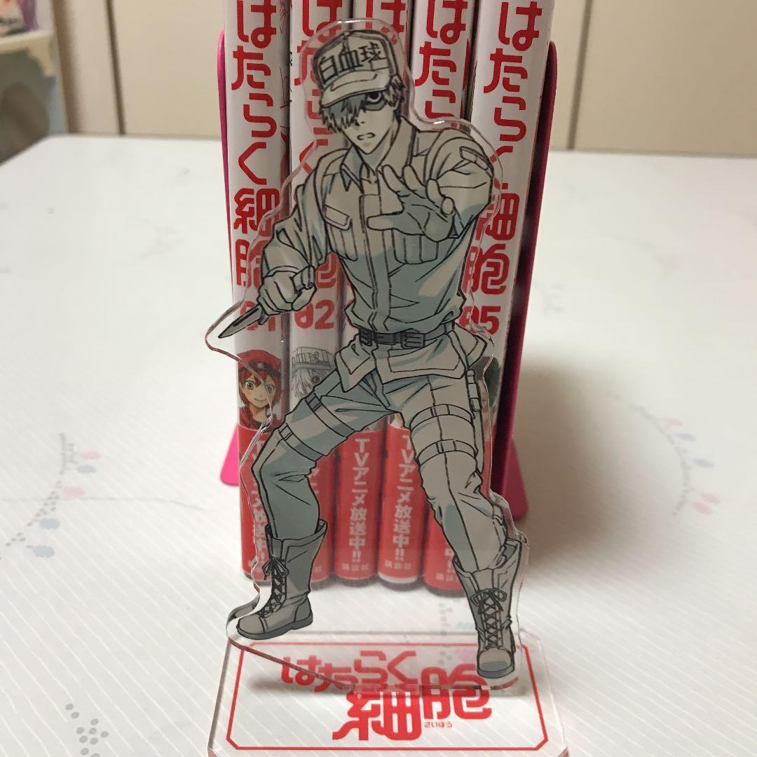 はたらく細胞 01～05 アクリルスタンド 店頭用POP