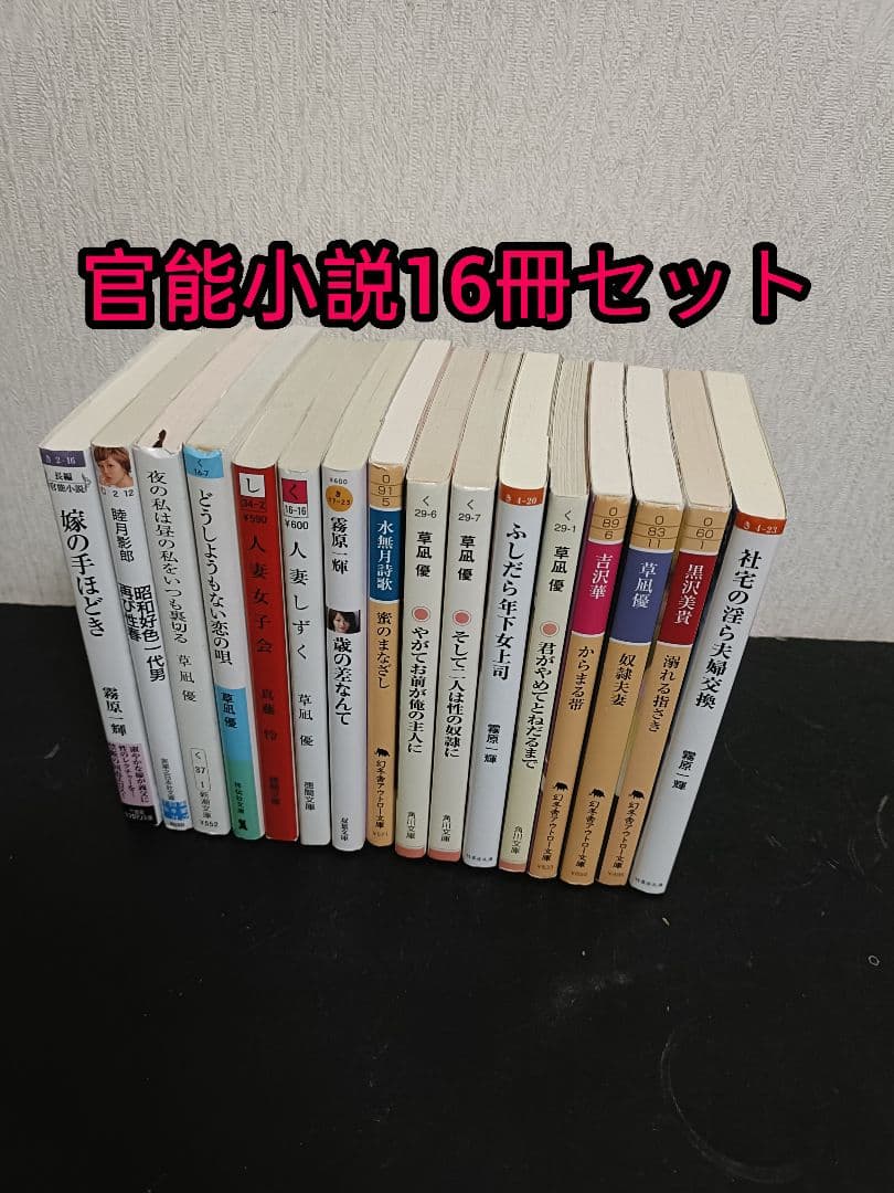 官能小説16冊セット