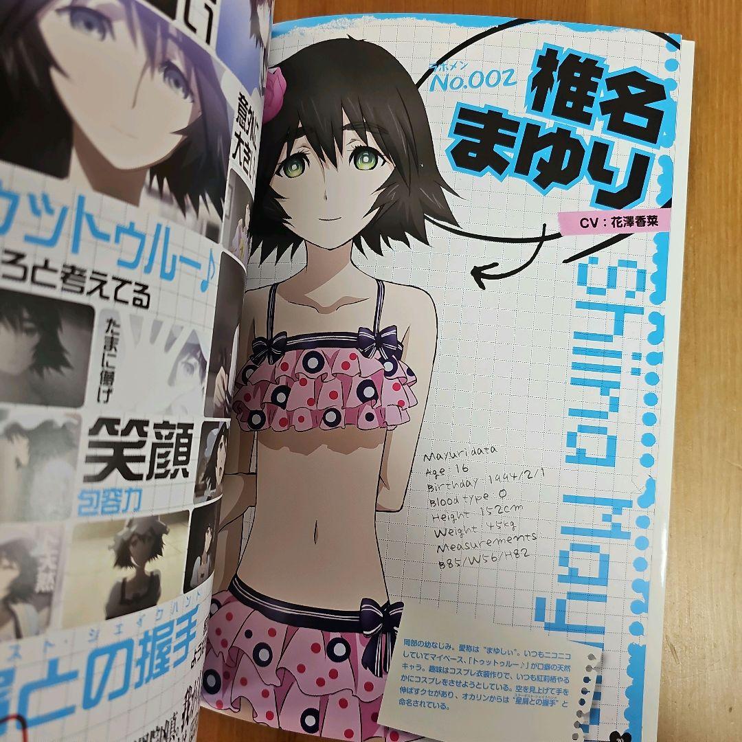 STEINS;GATE 相思相愛のトゥルーメモリーズ 絶版 初版本 極美品