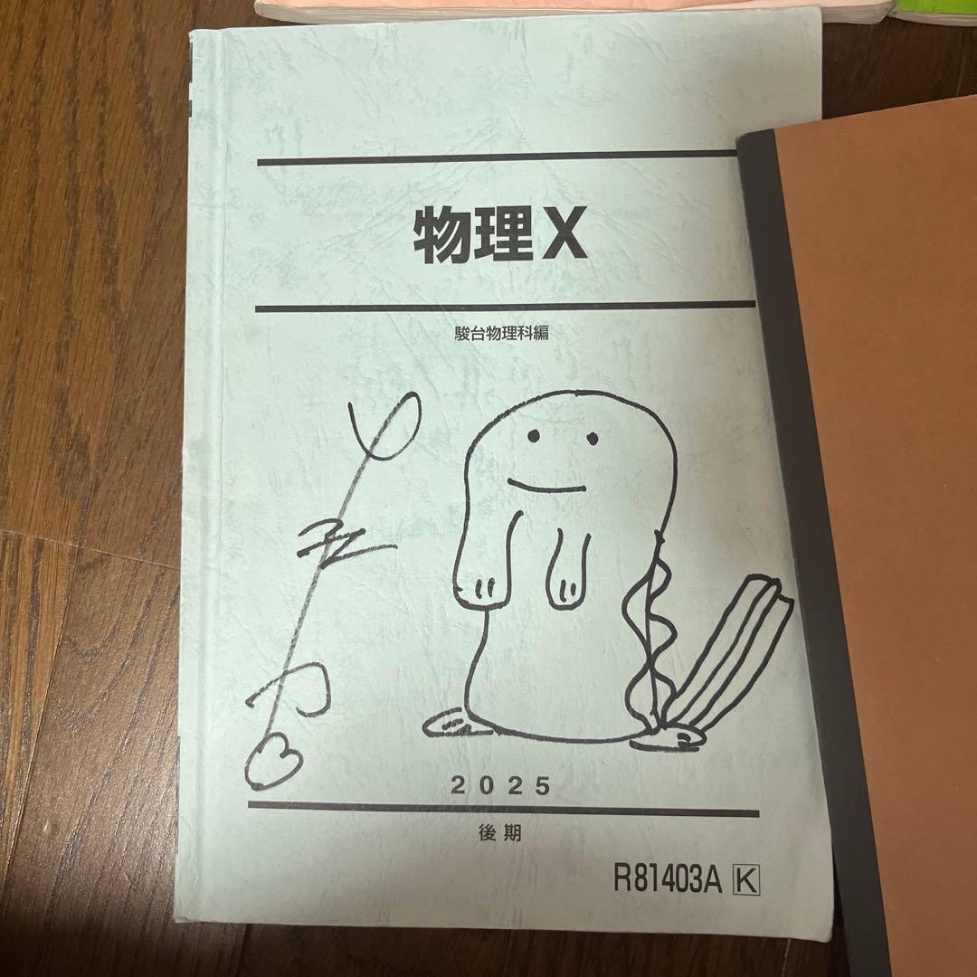 駿台 2025 後期 物理X(前期、後期)物理の総合研究