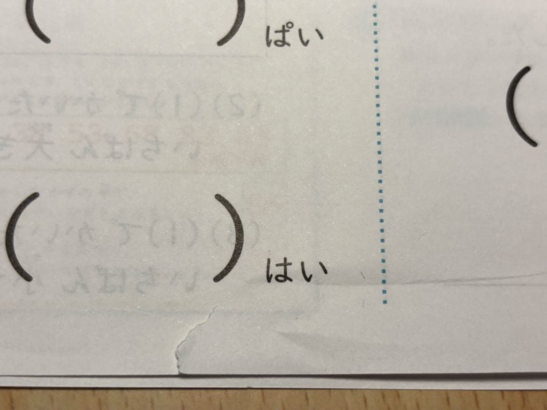 七田式 プリントD 切り離し済み　しちだ