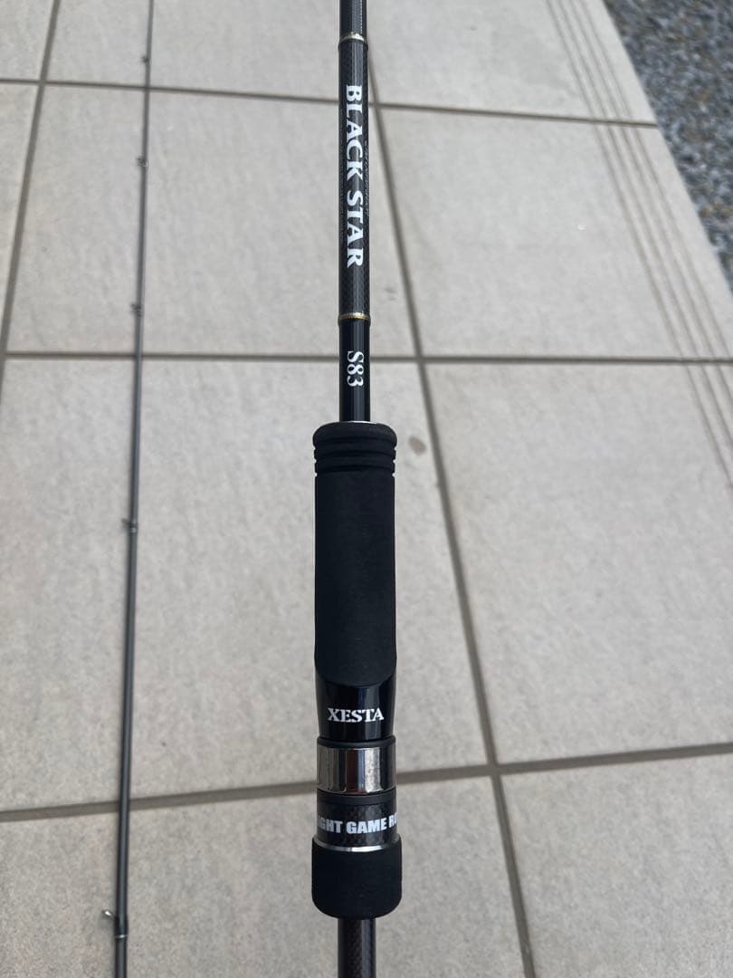 ゼスタ　ブラックスター2ND GENERATION S83 ディスタンススケープ