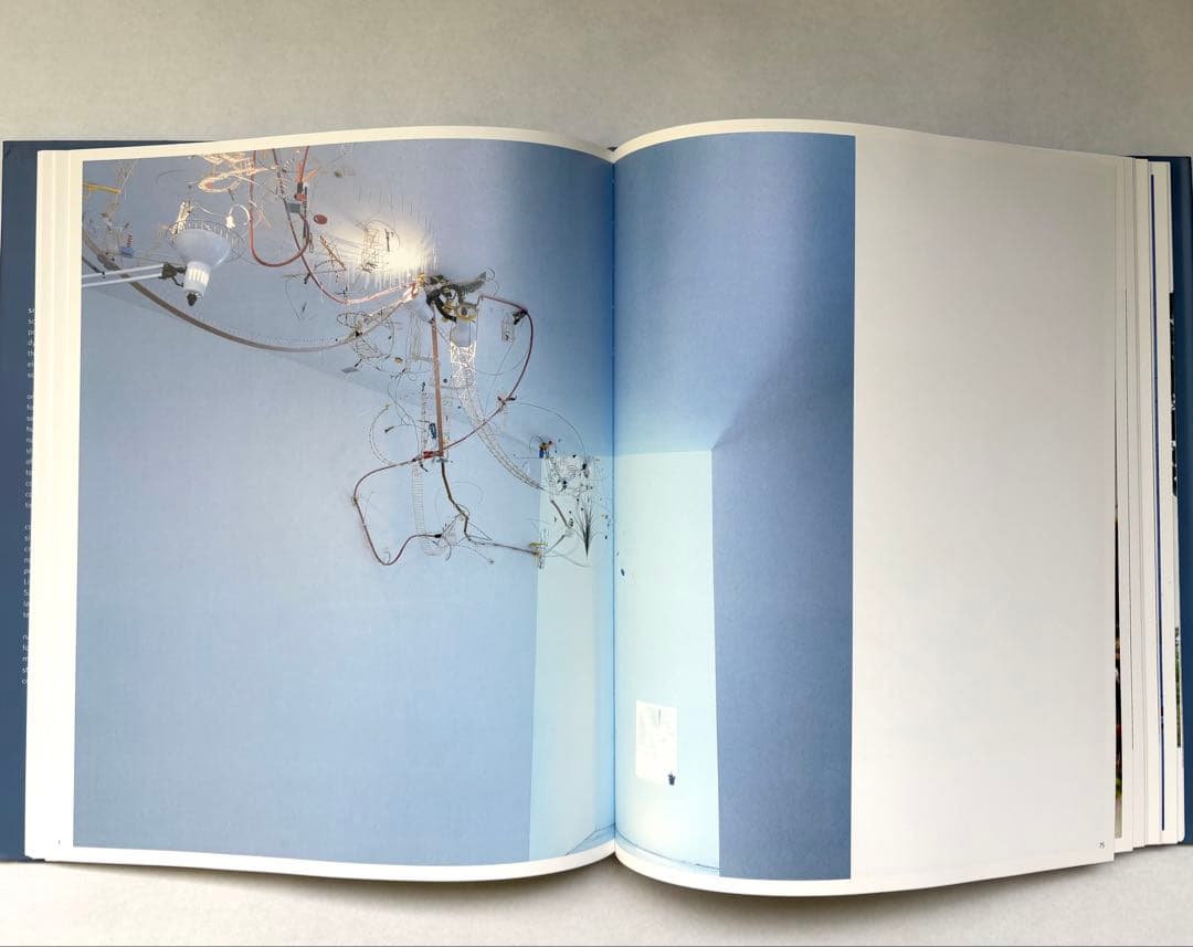 SARAH SZE 洋書