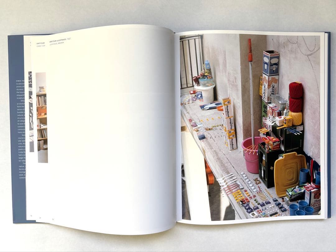 SARAH SZE 洋書