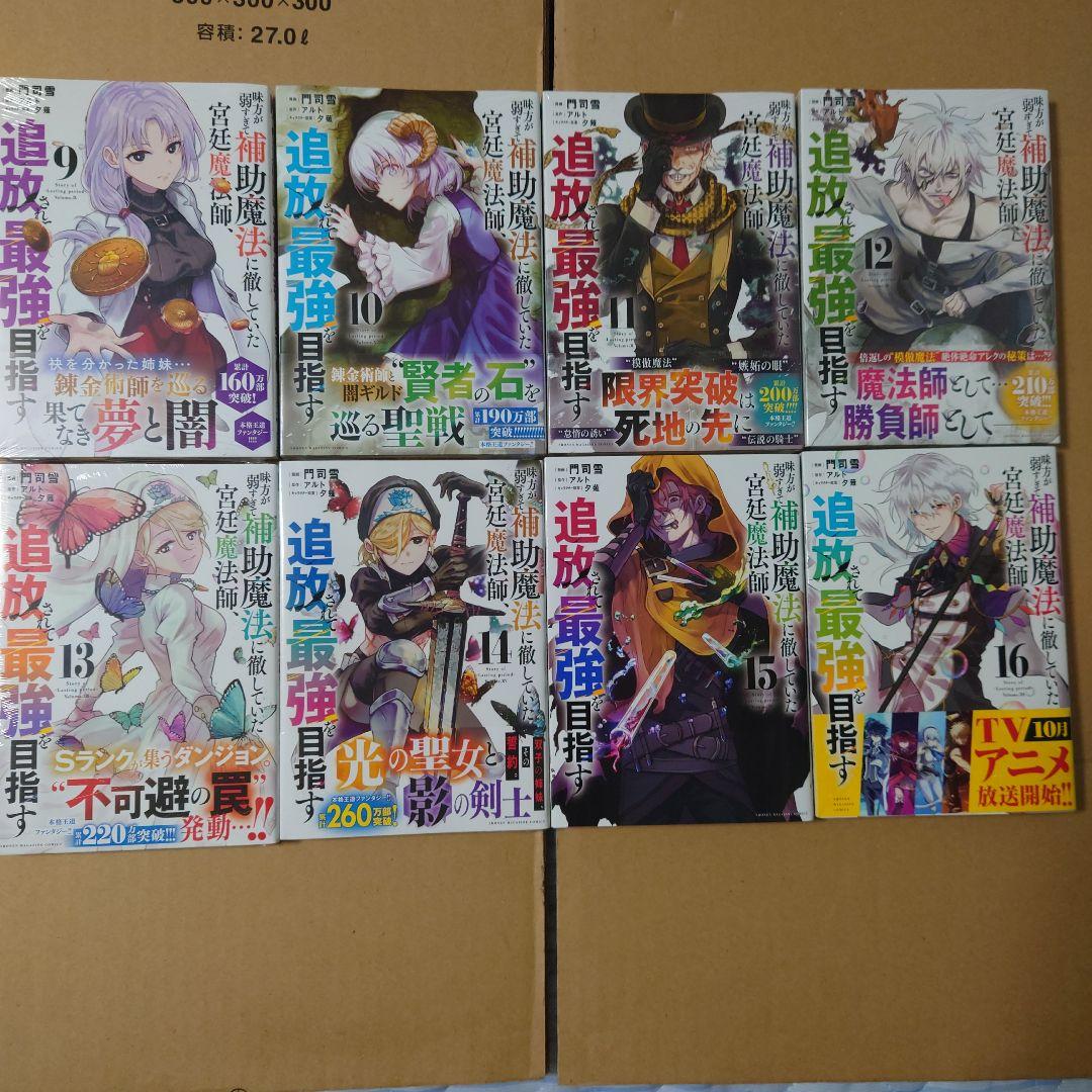 味方が弱すぎて補助魔法に徹していた宮廷魔法師、追放されて最強を目指す　1〜16