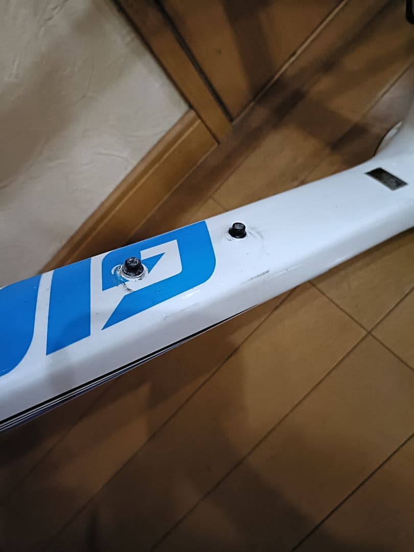 dime_333ジャイアント　TCR ADVANCED　SL　即購禁止