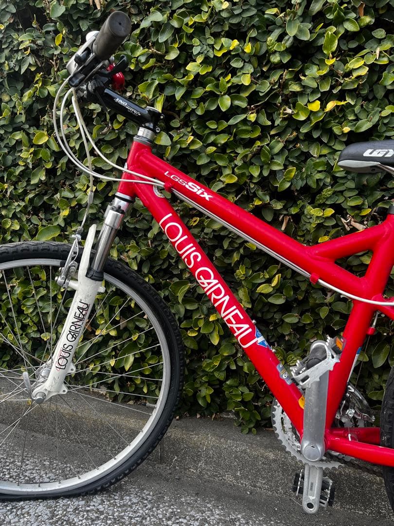 ルイガノ　バイク　4月末で処分