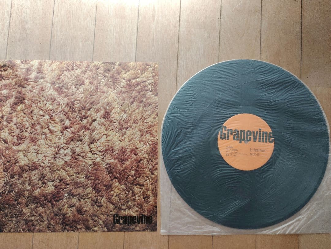 GRAPEVINE　レコード「LIFETIME 」
