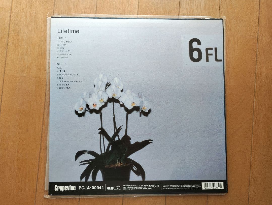 GRAPEVINE　レコード「LIFETIME 」